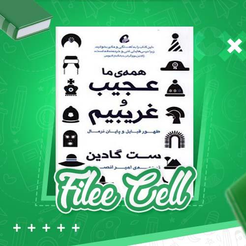 دانلود کتاب همه ی ما عجیب و غریبیم ست گادین (PDF) 96 صفحه